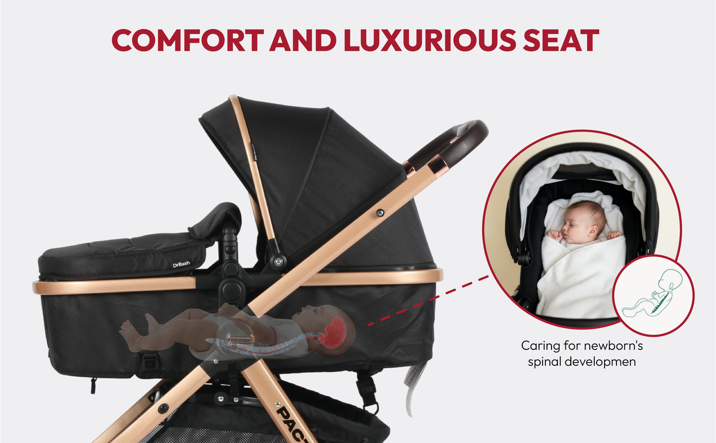 Pacto CT Convertible Stroller
