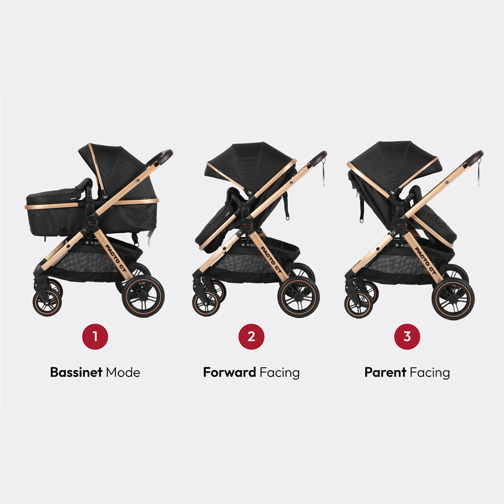 Pacto CT Convertible Stroller