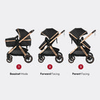Pacto CT Convertible Stroller