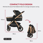 Pacto CT Convertible Stroller