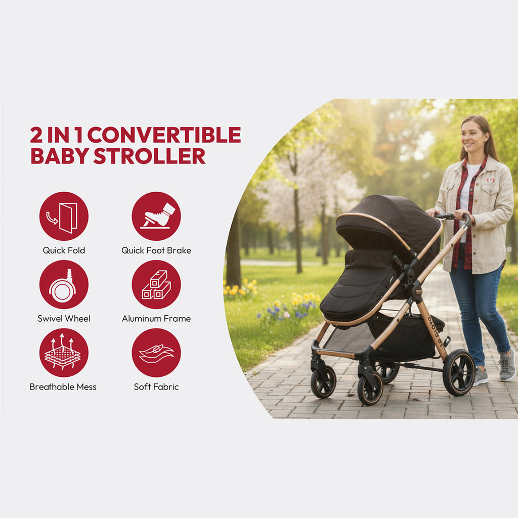 Pacto CT Convertible Stroller