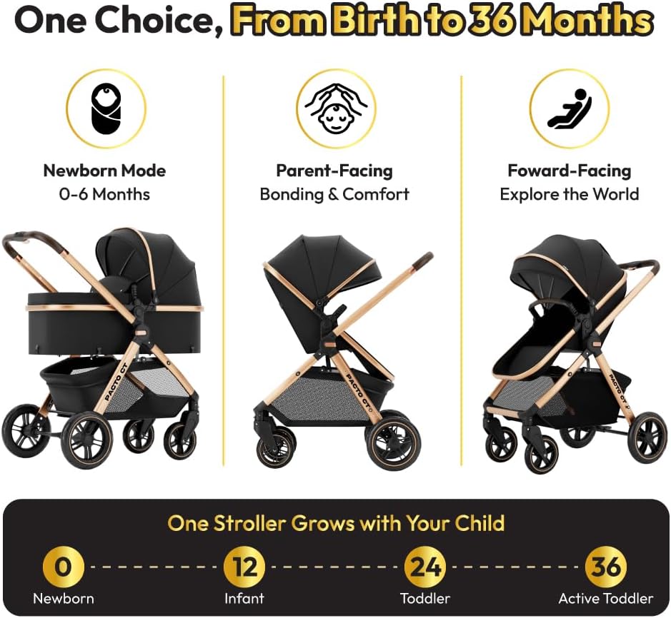 Pacto CT Convertible Stroller