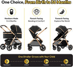 Pacto CT Convertible Stroller