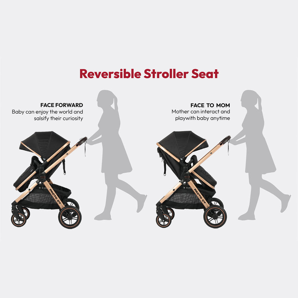 Pacto CT Convertible Stroller