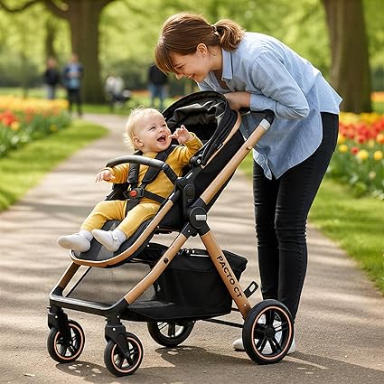 Pacto CT Convertible Stroller