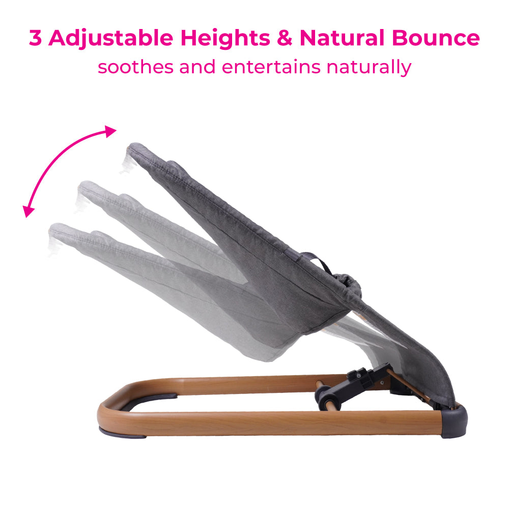 DrBash Baby Bouncer