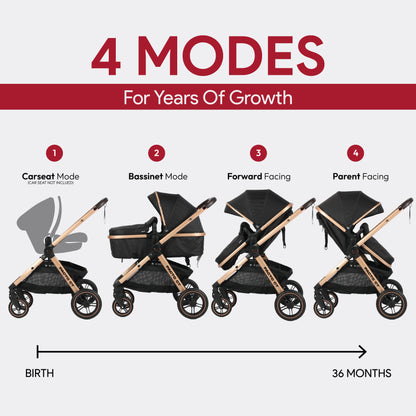 Pacto CT Convertible Stroller
