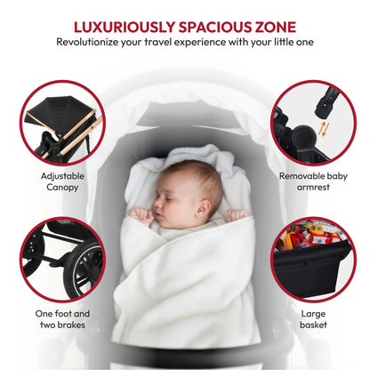 Pacto CT Convertible Stroller