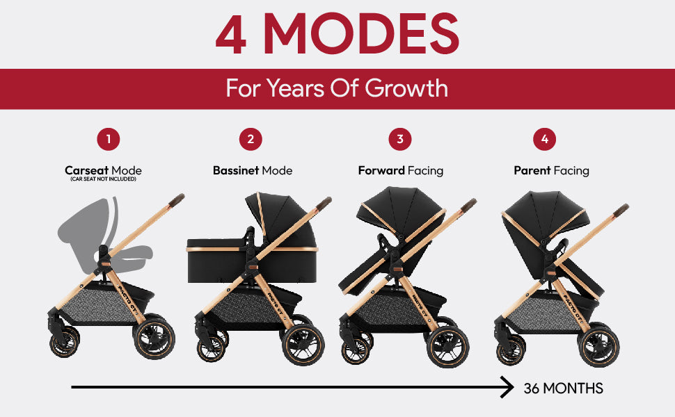 Pacto CT Convertible Stroller