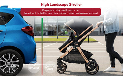 Pacto CT Convertible Stroller