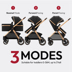 Pacto CT Convertible Stroller