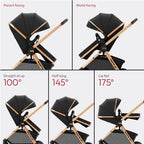 Pacto CT Convertible Stroller