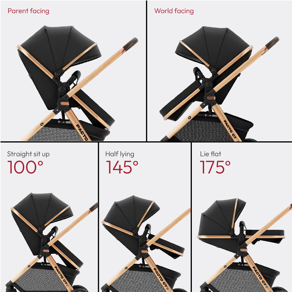 Pacto CT Convertible Stroller