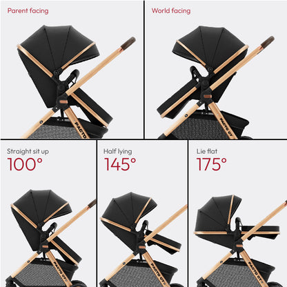 Pacto CT Convertible Stroller