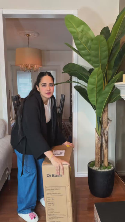 Pacto CT Convertible Stroller