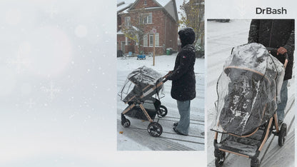 Pacto CT Convertible Stroller