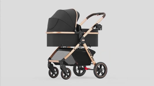 Pacto CT Convertible Stroller